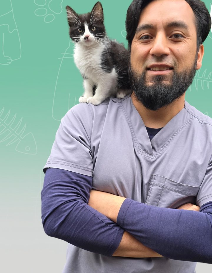 Nuestro veterinario con un gatito en el hombro