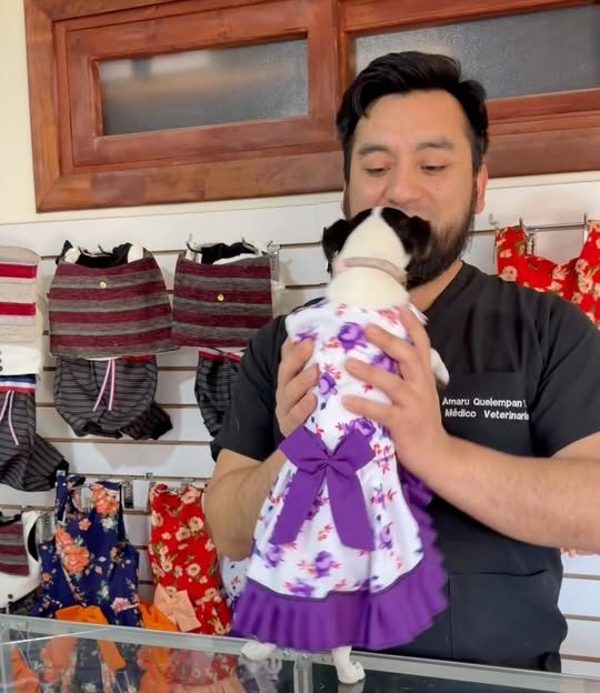 Vestidos de cueca para perritos en la tienda de la clínica